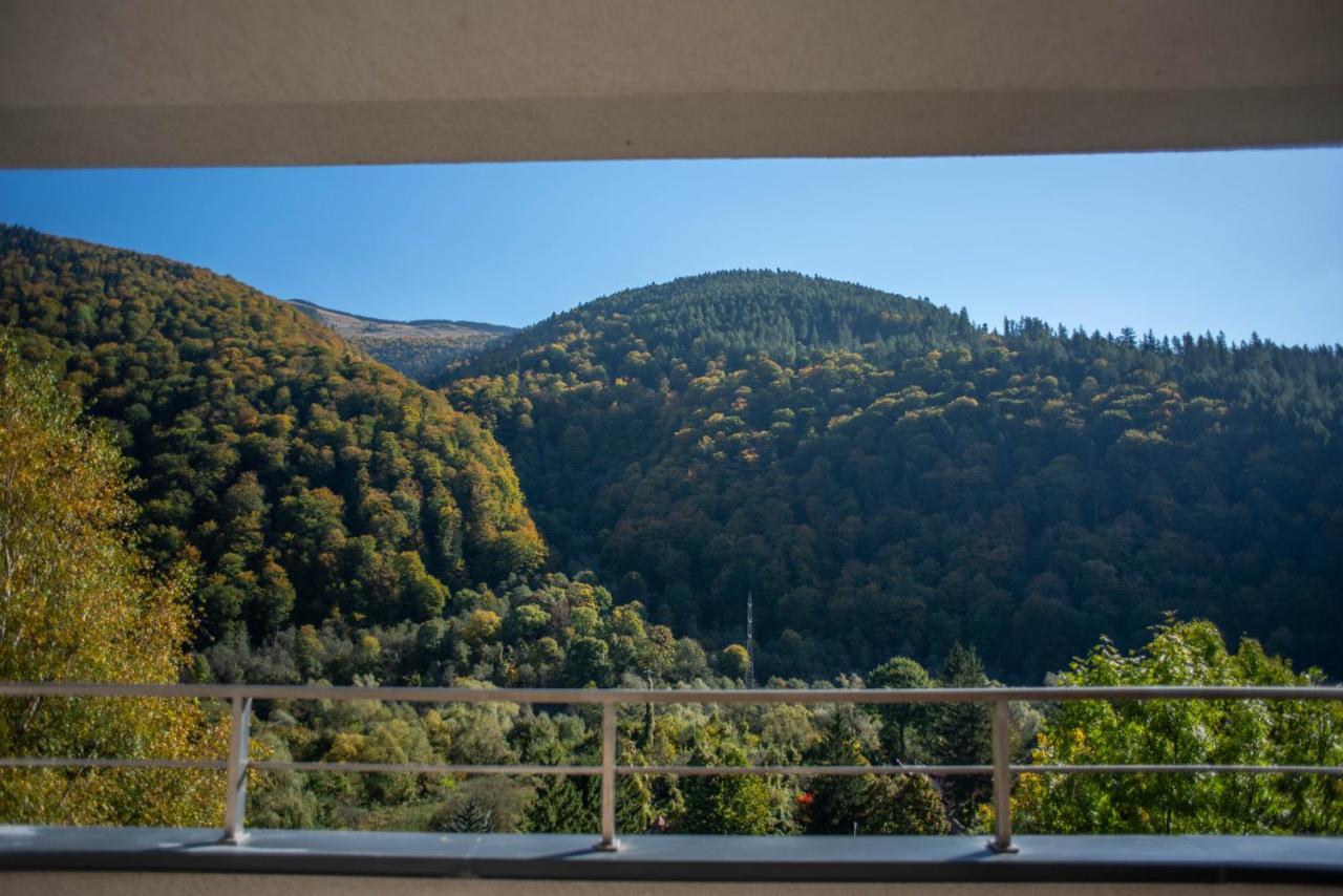 Blue Forest Studio Σινάια Εξωτερικό φωτογραφία
