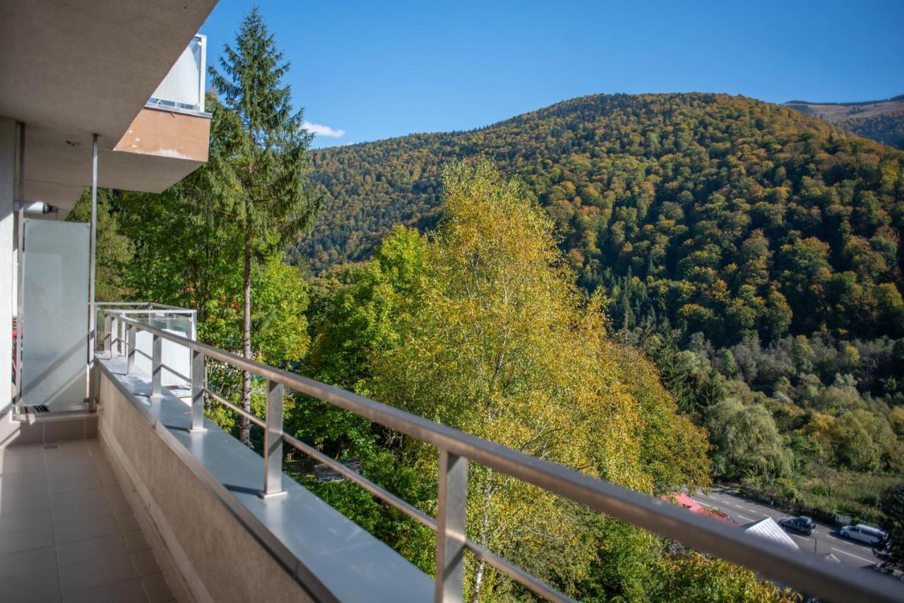Blue Forest Studio Σινάια Εξωτερικό φωτογραφία